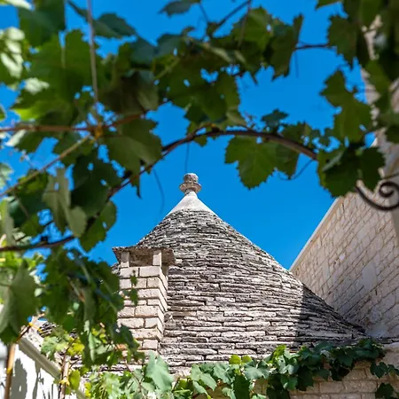 ゲストハウス Dimore Piazza Roma Trulli & アルベロベッロ